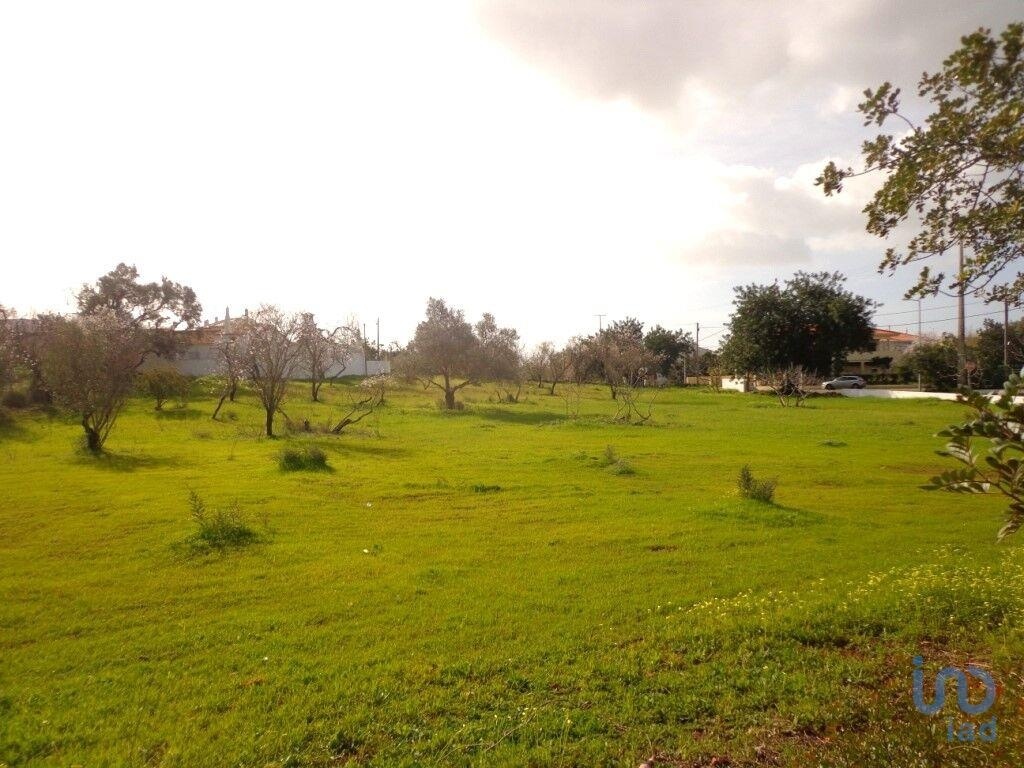 1 - venda terreno loulé algarve portugal