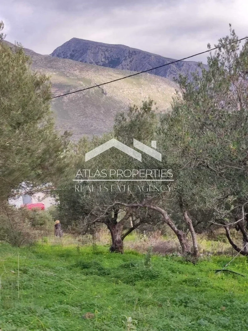 2 - vente terrain vue mer asómatos crète grèce