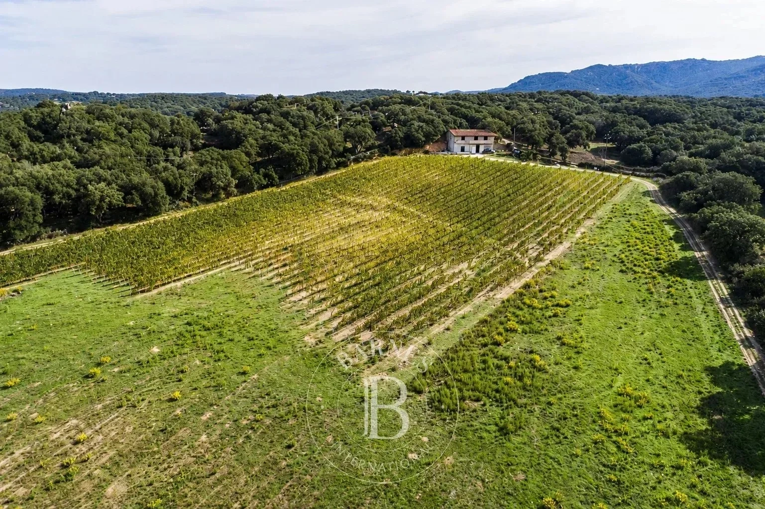 2 - продажа квартира monti сардиния италия