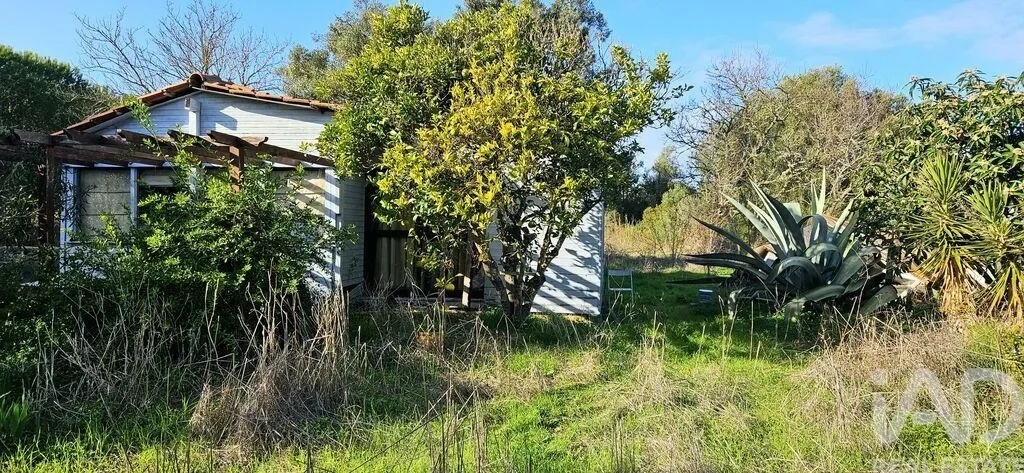 2 - plot of land for sale in barão de são miguel algarve portugal