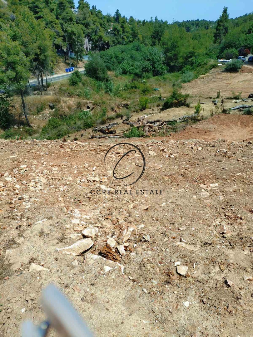2 - vente terrain dionysos attique grèce