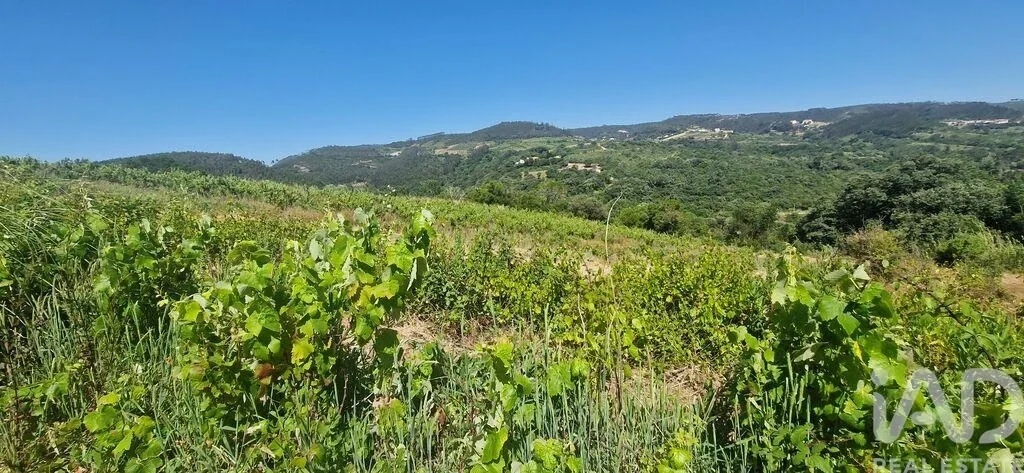 2 - venda terreno mafra região de lisboa portugal