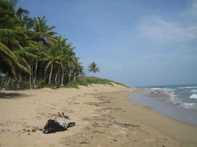 2 - verkauf grundstück direkt am wasser cabarete dominikanische republik karibische inseln