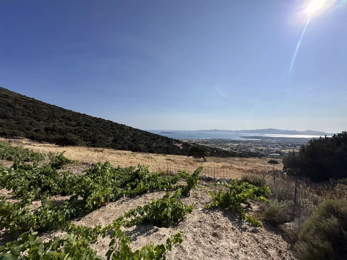 2 - verkauf grundstück meerblick paros - kykladen südliche ägäis griechenland