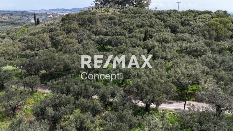 2 - venta terreno zante islas jónicas grecia