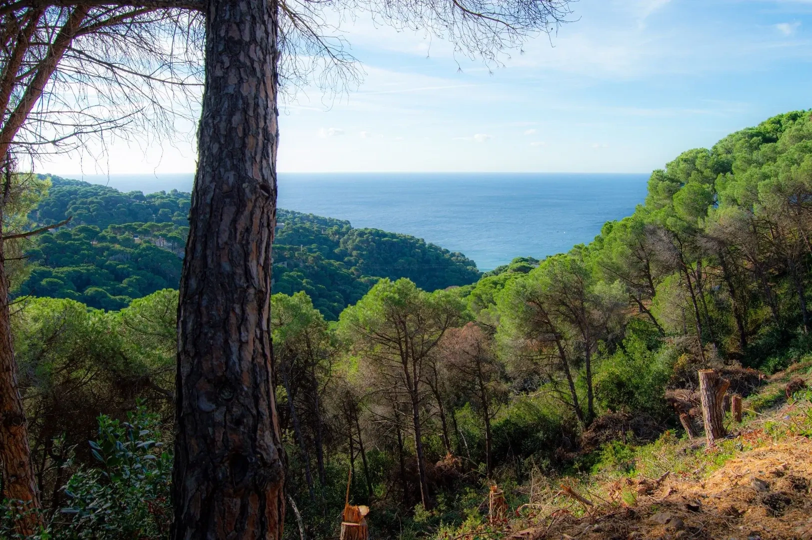 2 - vente terrain vue mer lloret de mar catalogne espagne