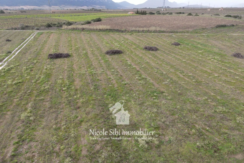 2 - vendita terreno tautavel pirenei-orientali francia