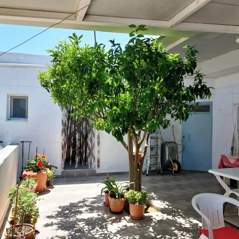 Casa com 2 quartos