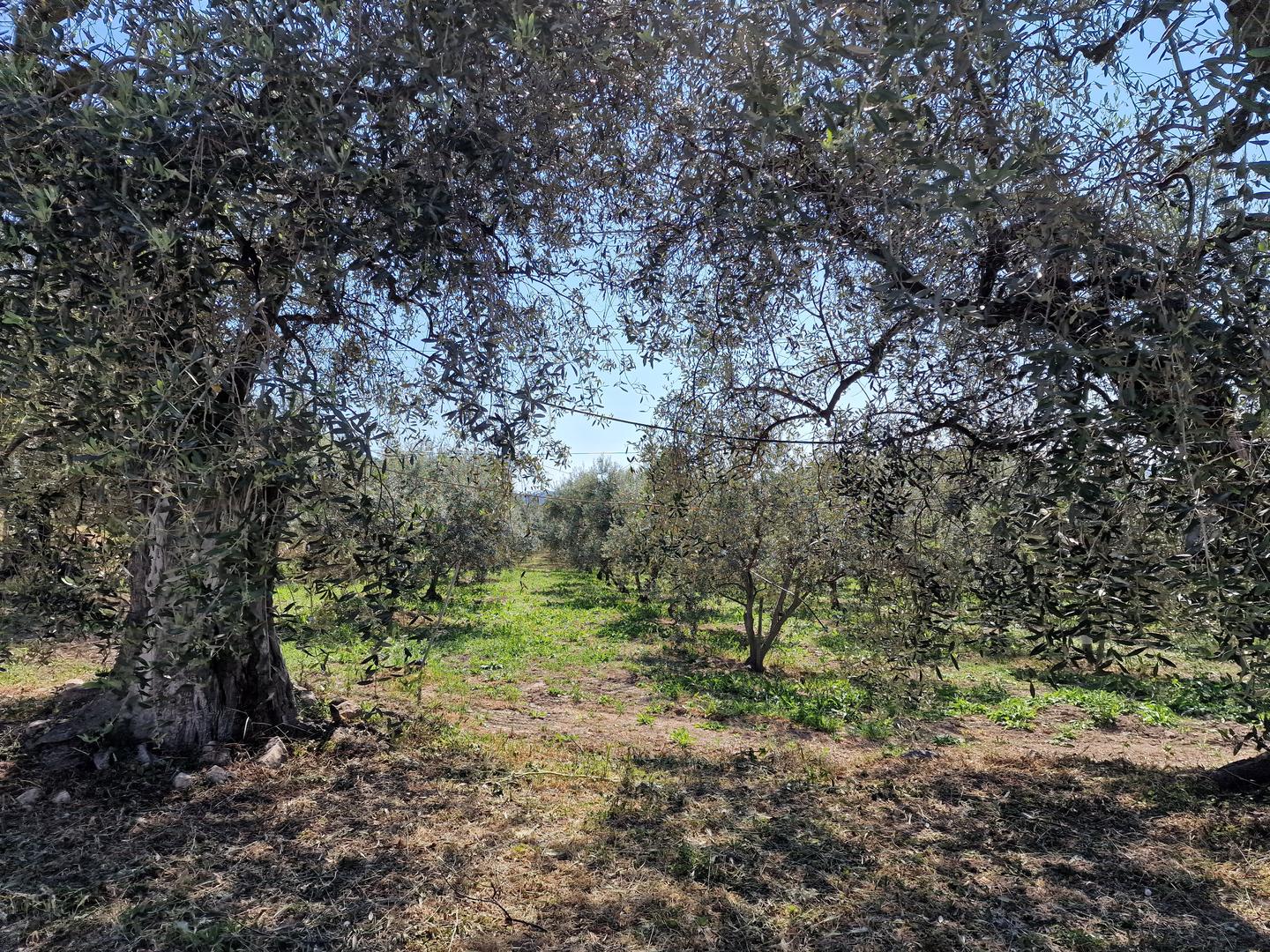 1 - sea view plot of land for sale in cagnes-sur-mer alpes-maritimes france