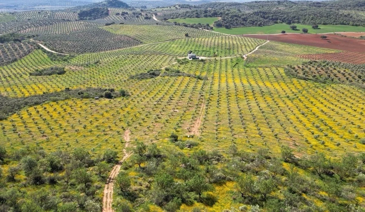 2 - venta terreno archidona andalucía españa