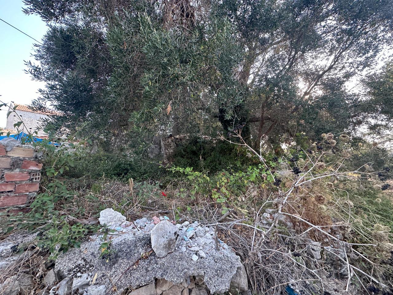2 - plot of land for sale in loggos (paxos) ionian islands greece