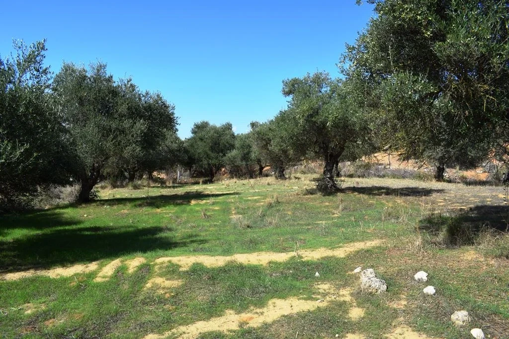 2 - продажа территория вид моря chania крит греция