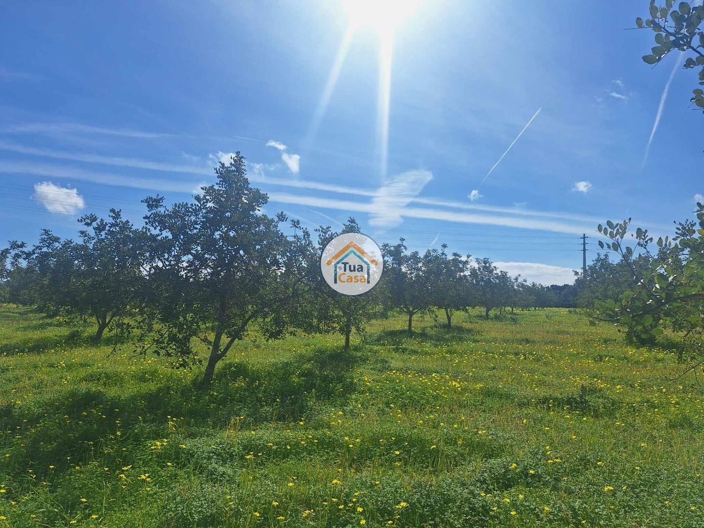 1 - plot of land for sale in faro algarve portugal