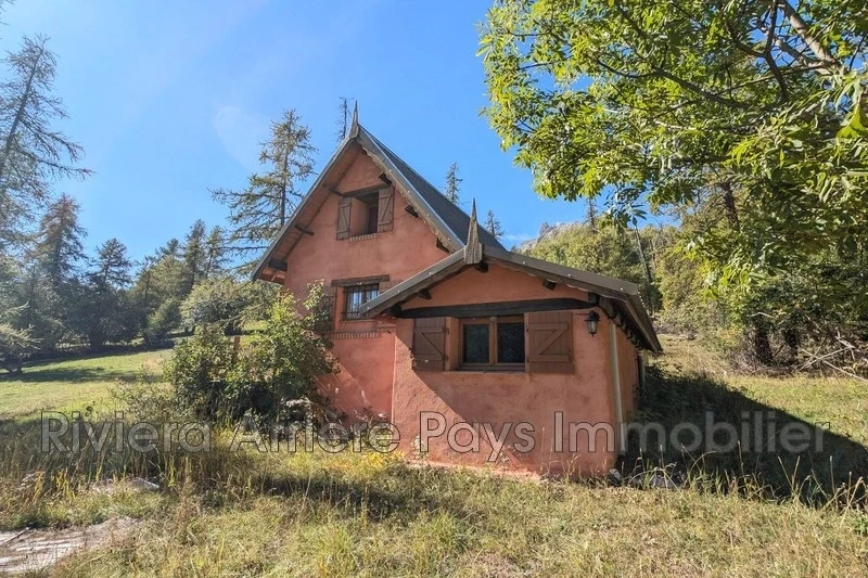1 - house for sale in saint-martin-d'entraunes alpes-maritimes france