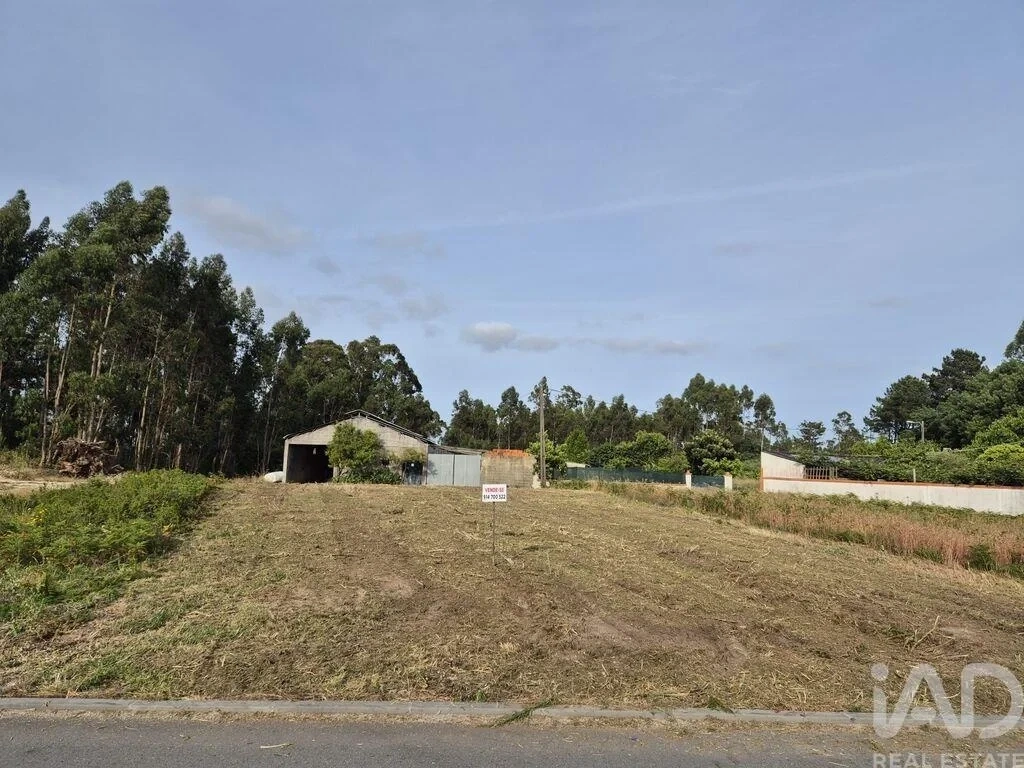 1 - verkauf grundstück vagos region zentrum portugal