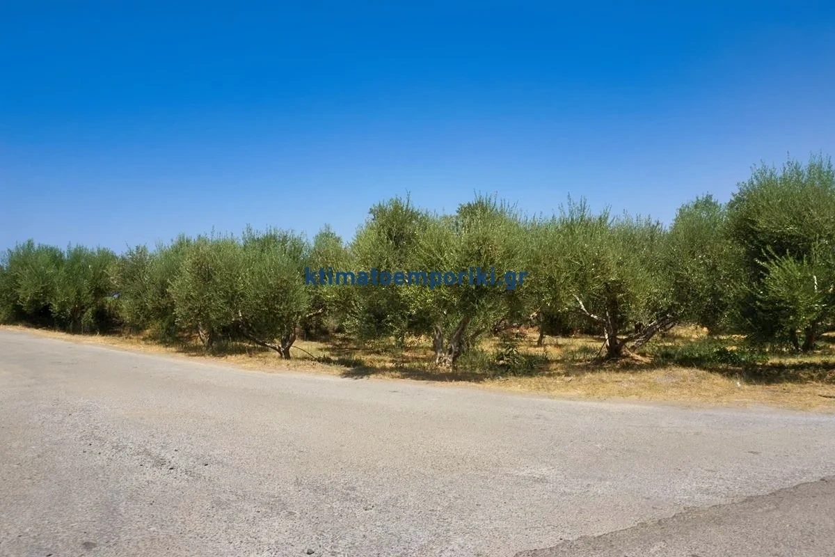 2 - venta terreno platanias creta grecia