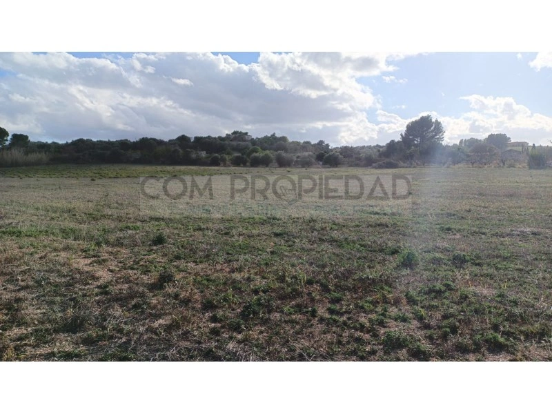 2 - plot of land for sale in manacor majorca - balearic islands spain