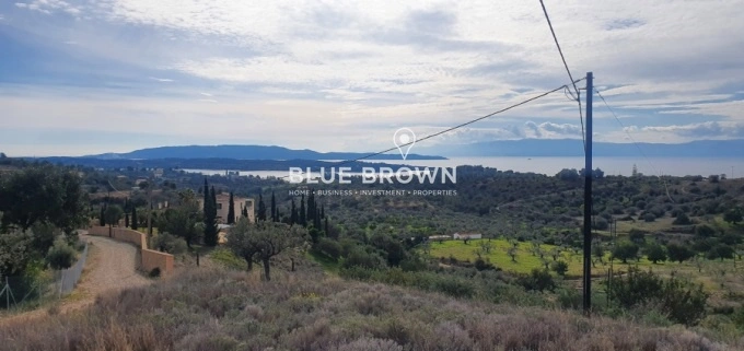 1 - vente terrain vue mer kranídi péloponnèse grèce