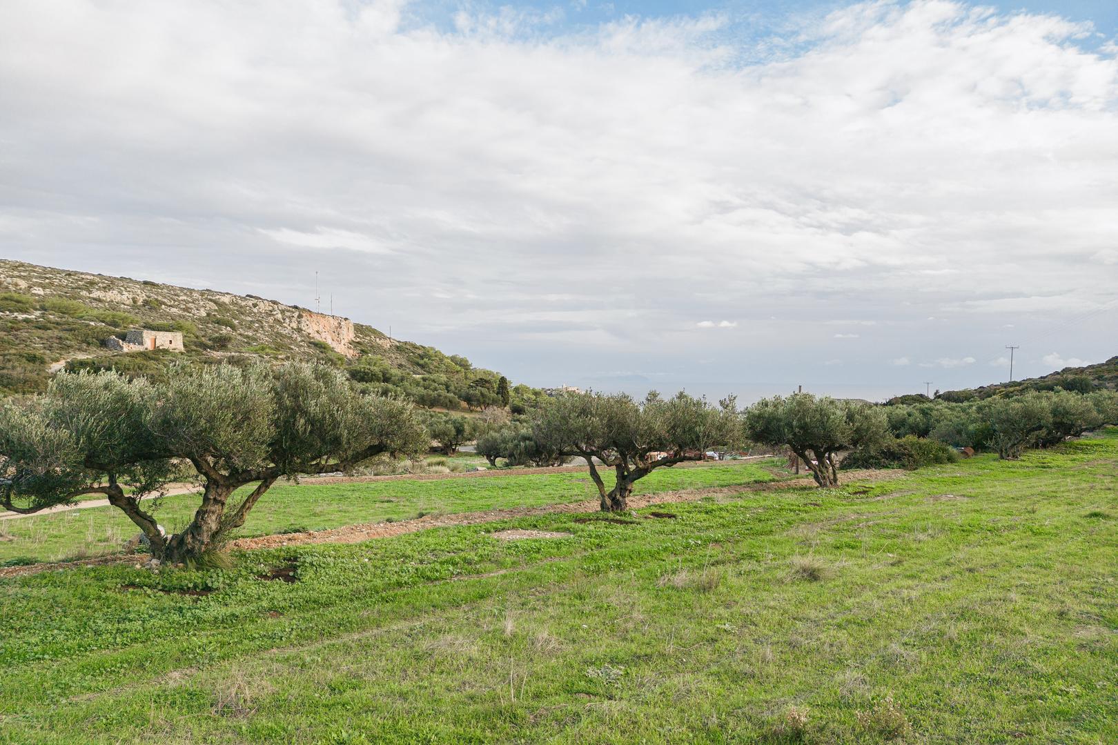 2 - verkoop terrein uitzicht op zee kythira attica griekenland