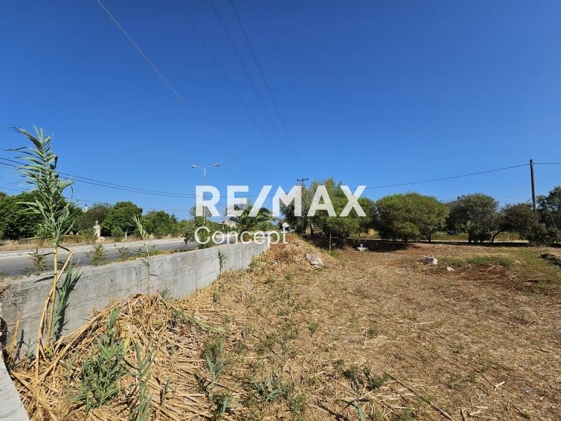 2 - vendita terreno zante isole ioniche grecia