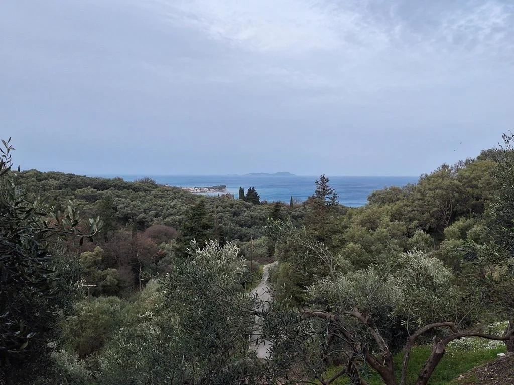 1 - venda terreno vista de mar ágios stéfanos ilhas jónicas grécia