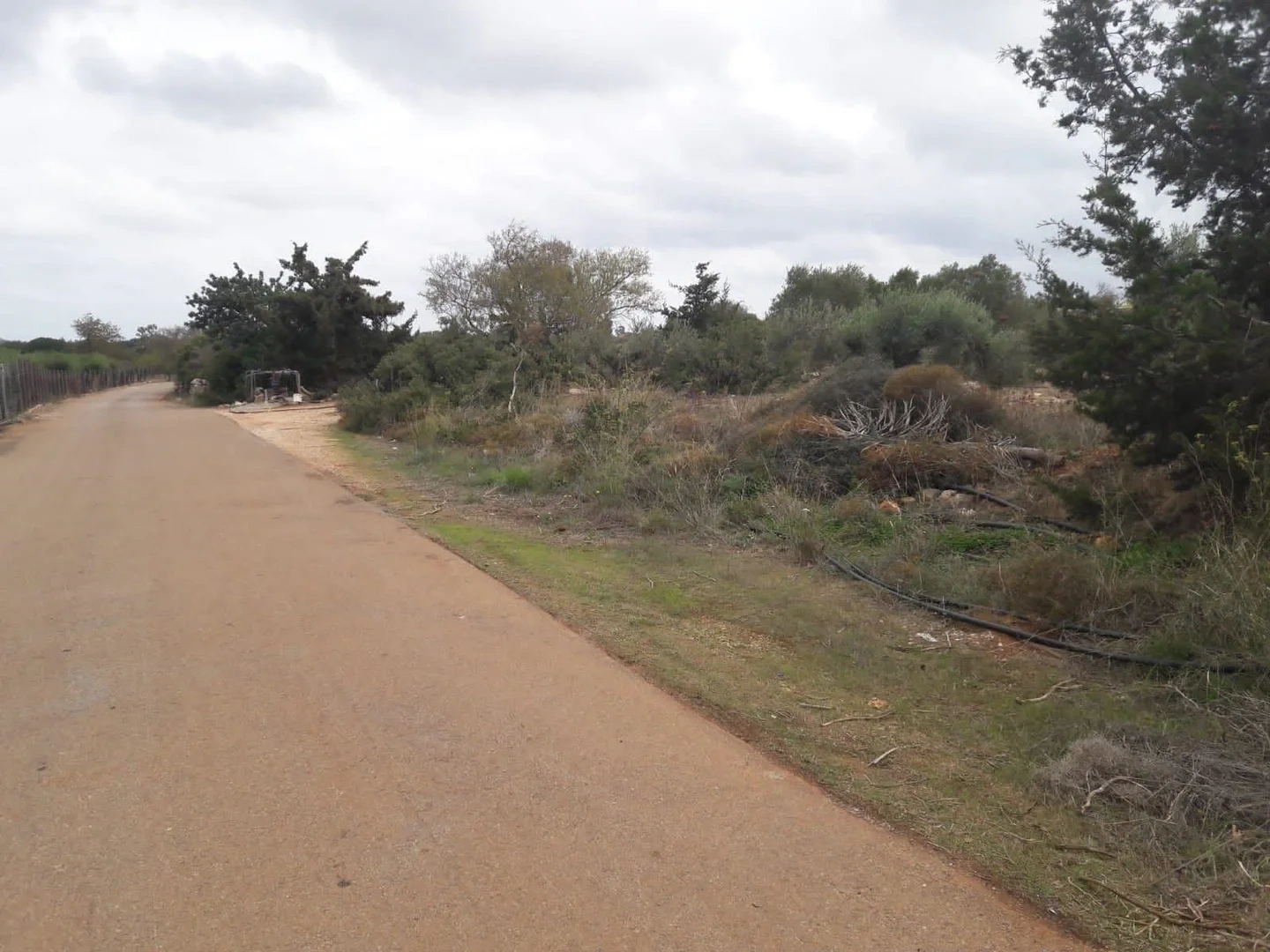 2 - vente terrain aróni crète grèce