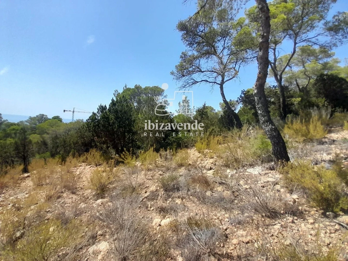 1 - verkauf anwesen meerblick sant josep de sa talaia ibiza - balearen spanien