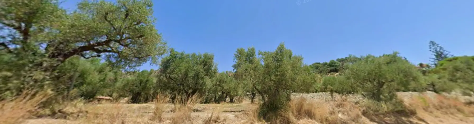 1 - venta terreno zante islas jónicas grecia