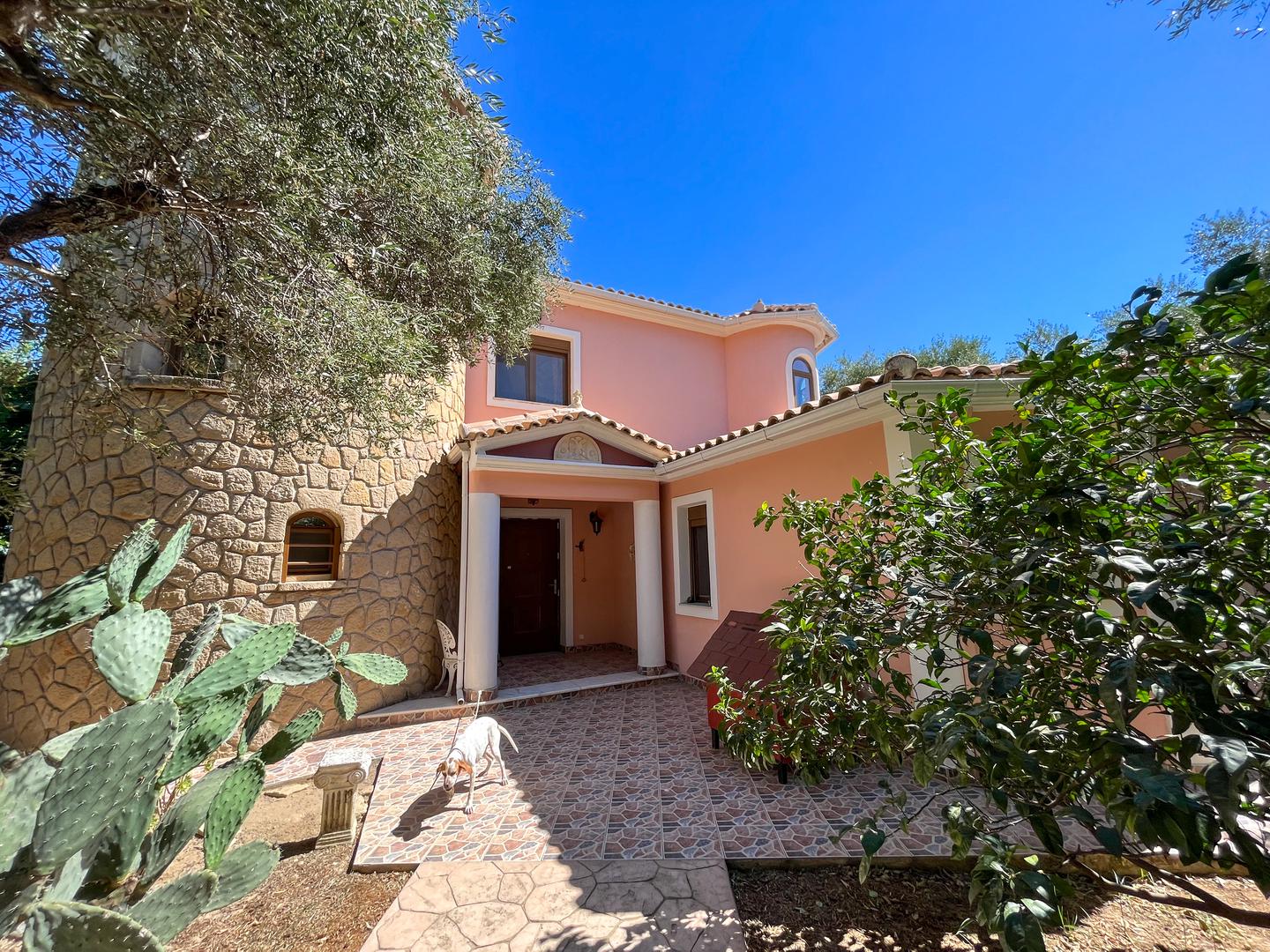 2 - verkauf haus meerblick zante ionische inseln griechenland