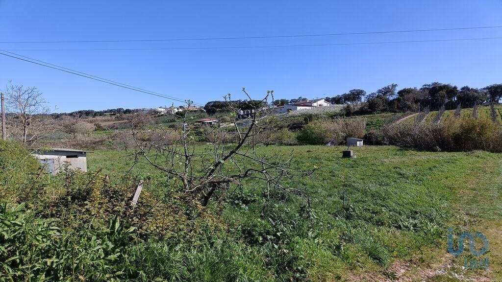 1 - venta terreno cela región centro portugal