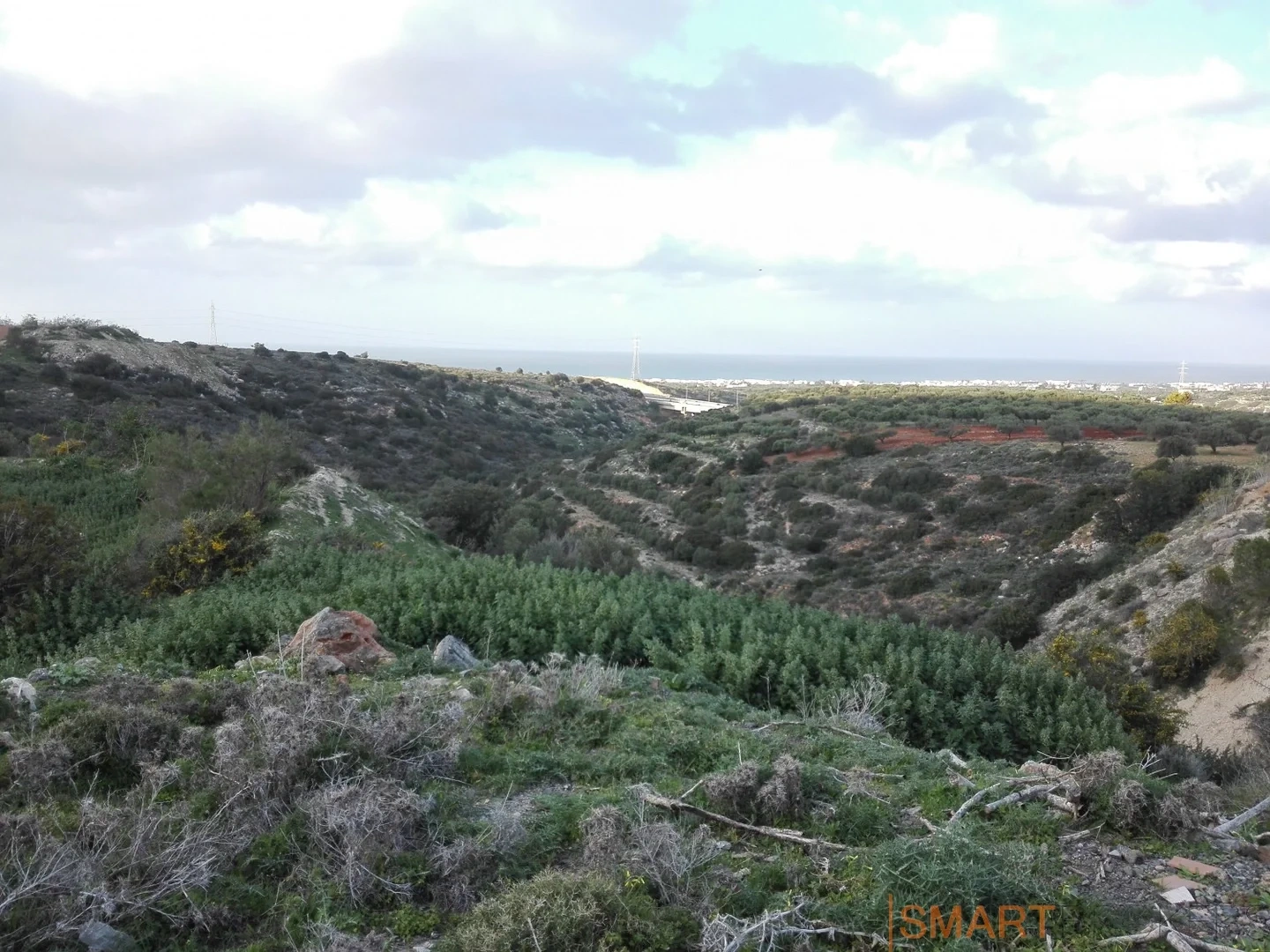 2 - plot of land for sale in elia crete greece