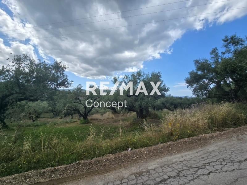 2 - venta terreno zante islas jónicas grecia