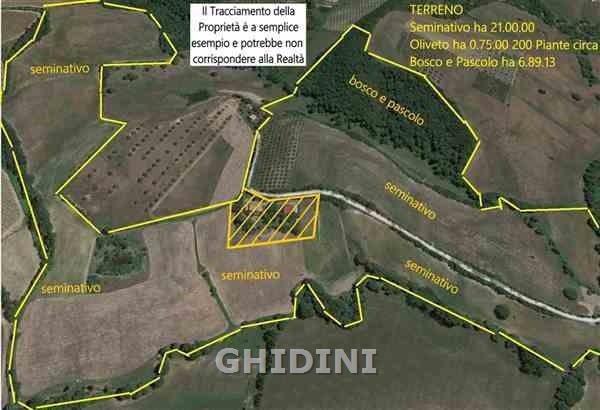 2 - venta terreno cinigiano toscana italia