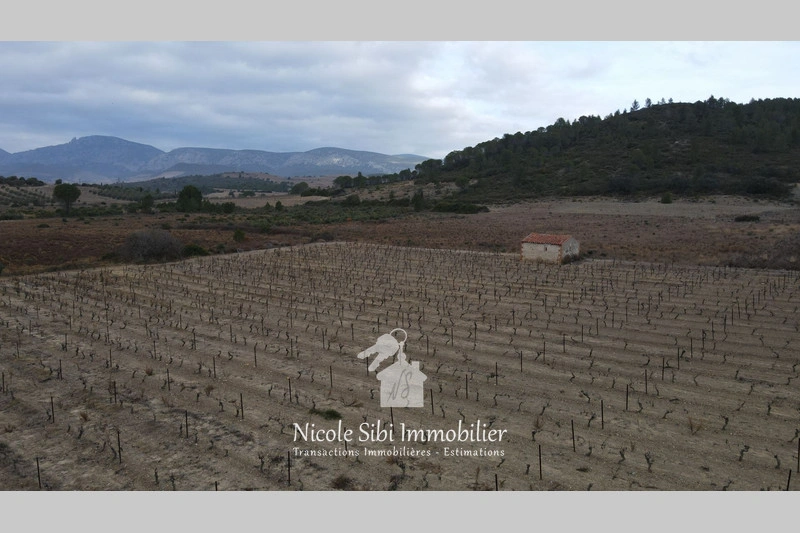 2 - venta terreno tautavel pirineos orientales francia