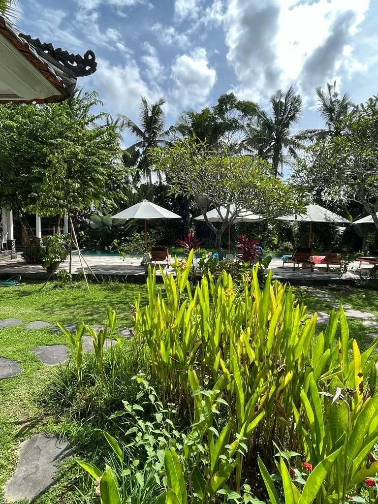 2 - villa for sale in ubud bali indonesia