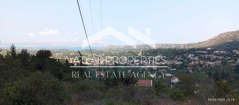 1 - vente terrain vue mer gavalochori crète grèce