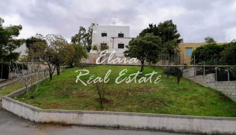 2 - vendita casa vista mare theológos grecia centrale grecia