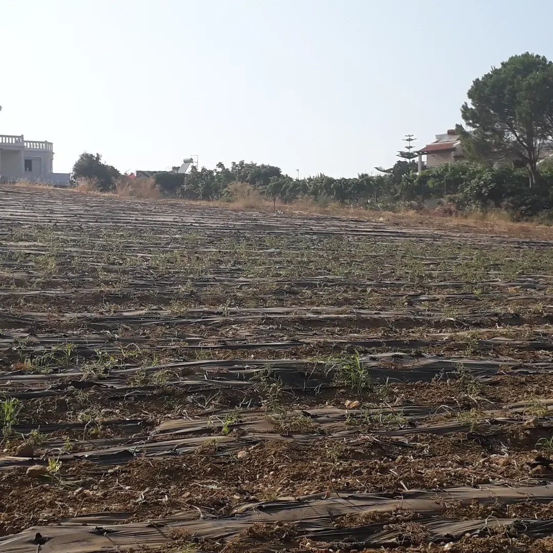 2 - vente terrain plage à pied stalós crète grèce