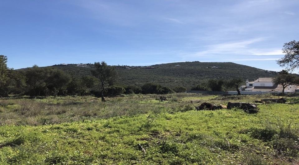 1 - vendita terreno loulé algarve portogallo