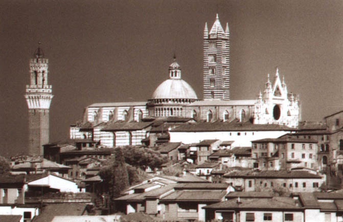 1 - business for sale in siena tuscany italy