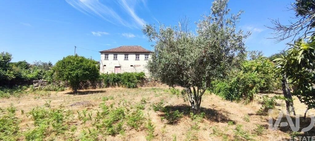 1 - villa for sale in moledo north region portugal