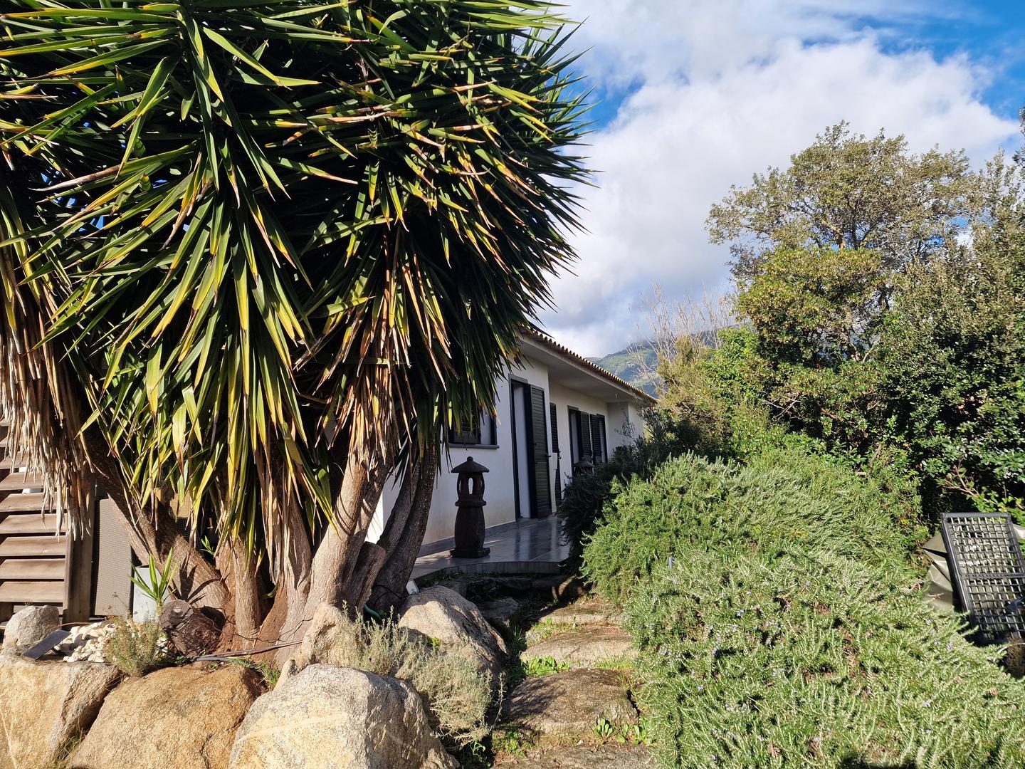 2 - verkauf haus sotta corse (du-sud) frankreich