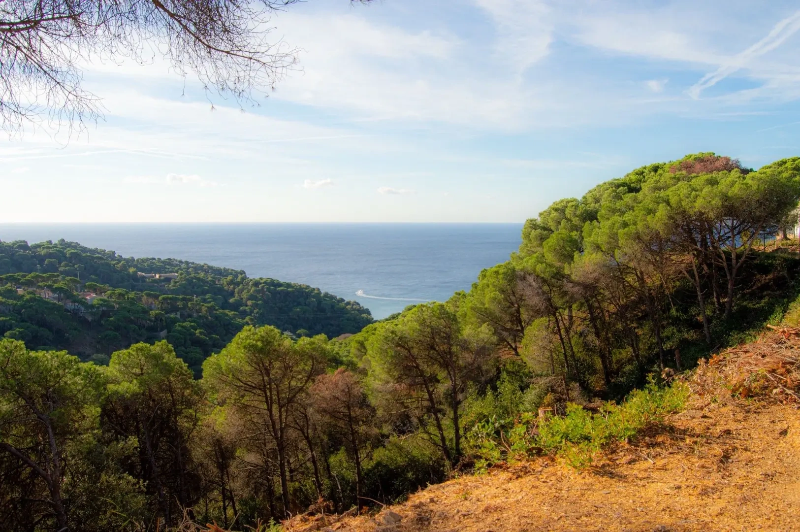 Terrain vue mer de 861 m²