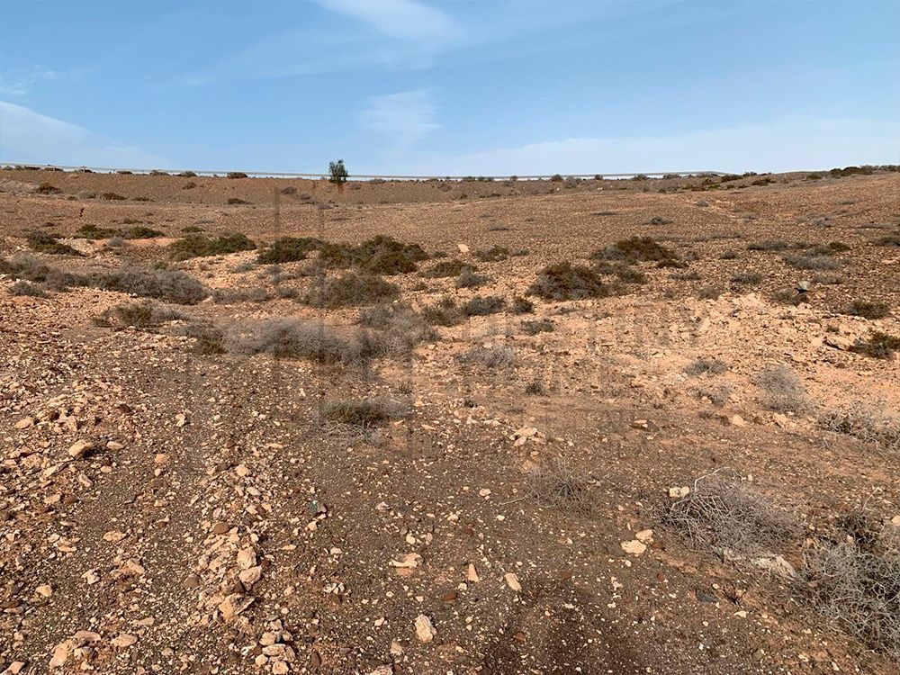 2 - venta terreno tuineje fuerteventura - canarias españa