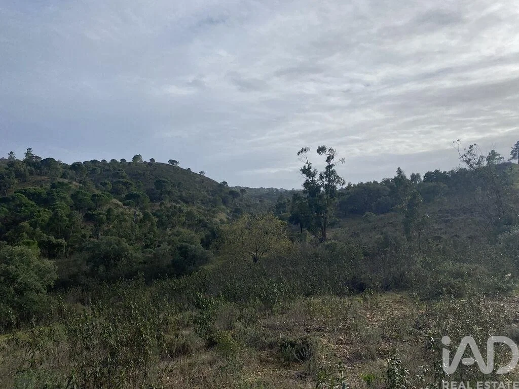 2 - vendita terreno são brás de alportel algarve portogallo