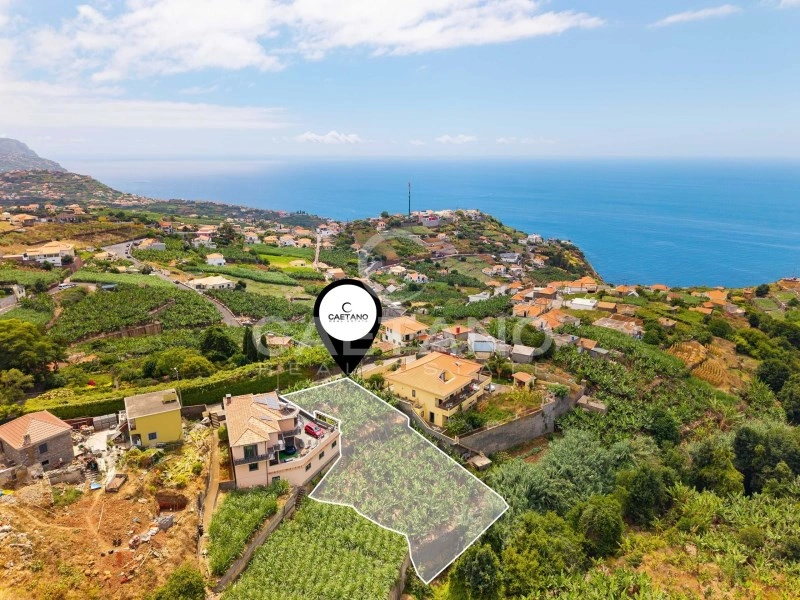 1 - продажа территория canhas мадера португалия
