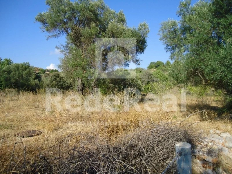 2 - vente terrain alfarrobeira algarve portugal