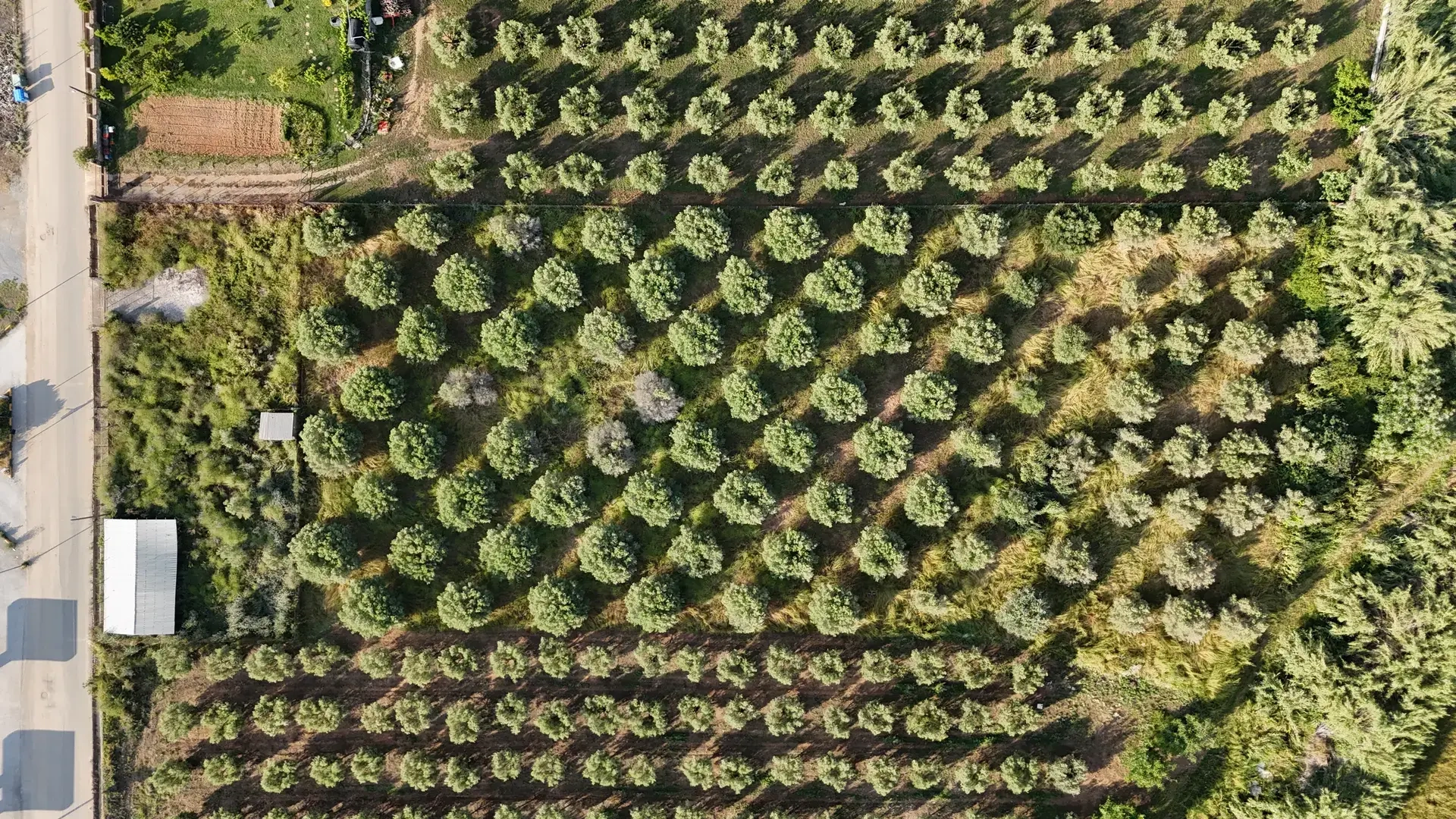 2 - vente terrain paralia dionysiou macédoine centrale grèce