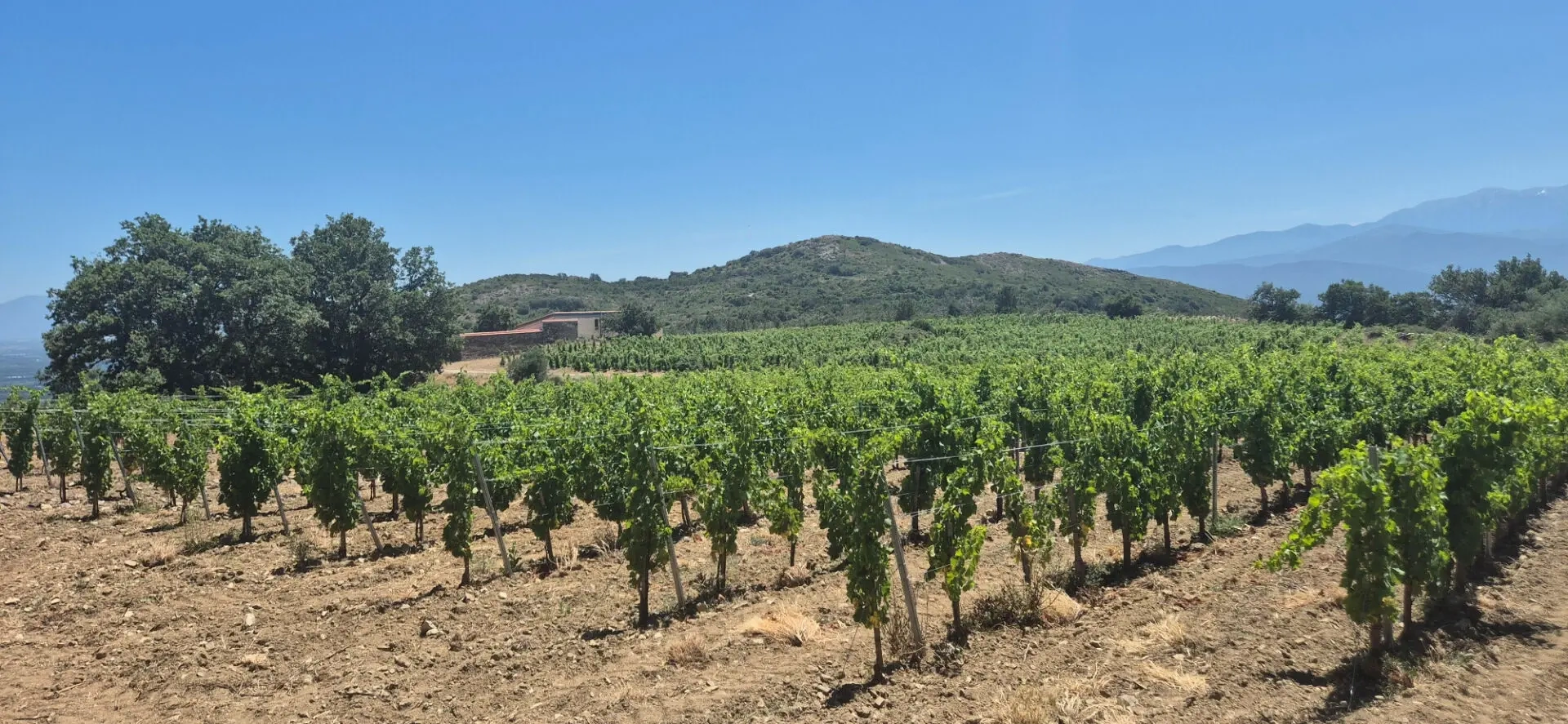 2 - venta propiedad vista al mar perpignan pirineos orientales francia