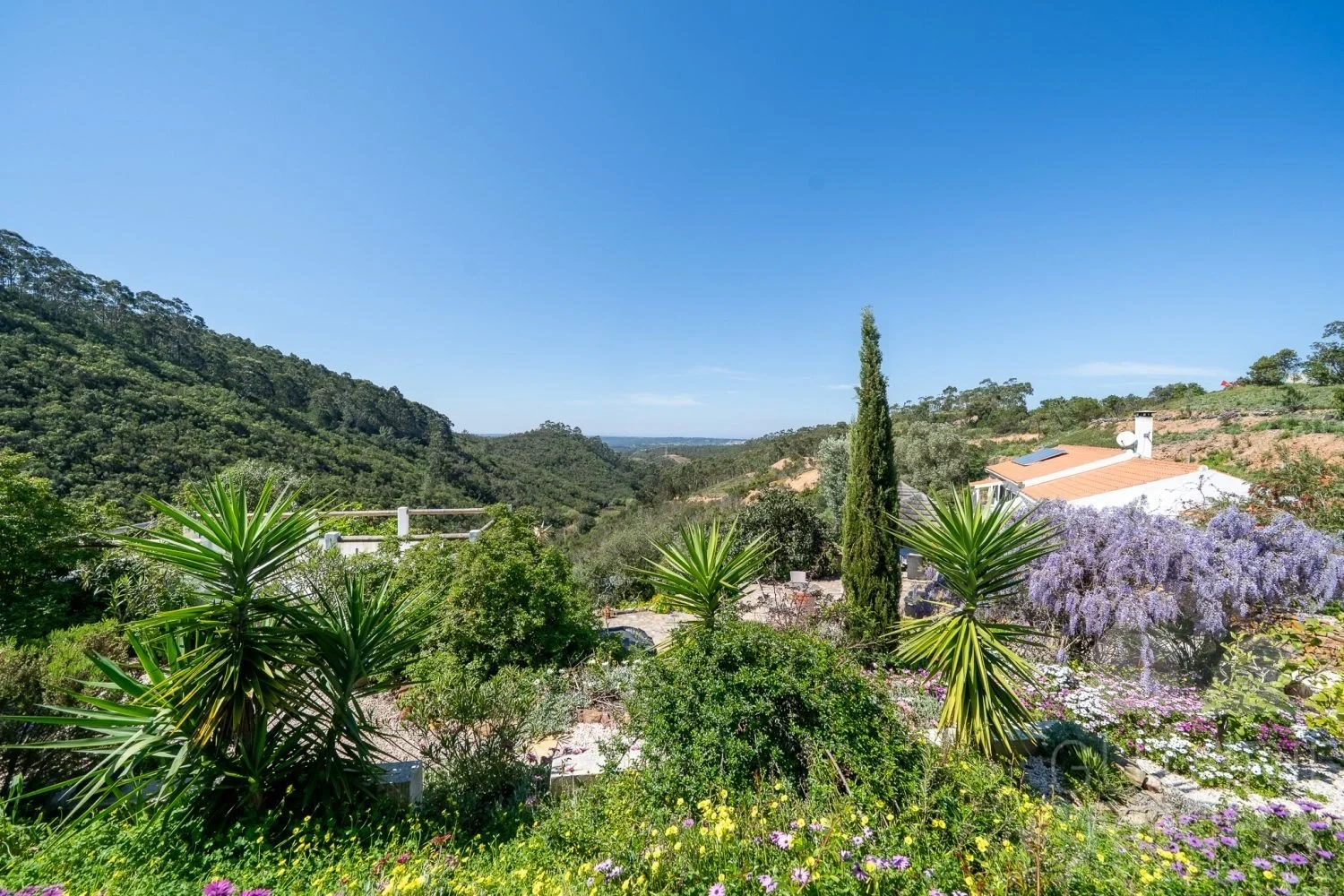 1 - verkauf anwesen aljezur algarve portugal